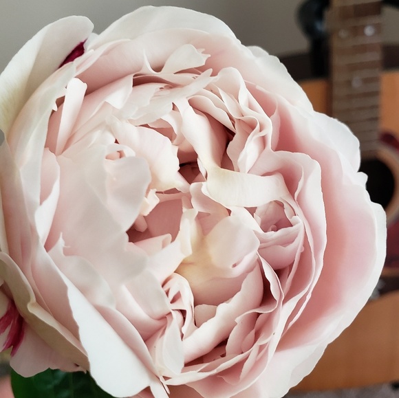 Meet your Posher, O - Picture 2 of 4